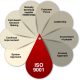 What is ISO 9001 2015 translation?